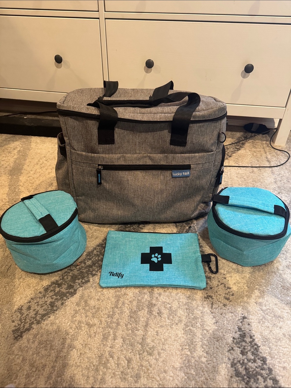 Gray & Teal Pet Travel Bag Set